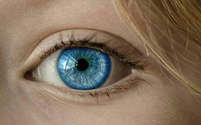 Fun facts about eyes